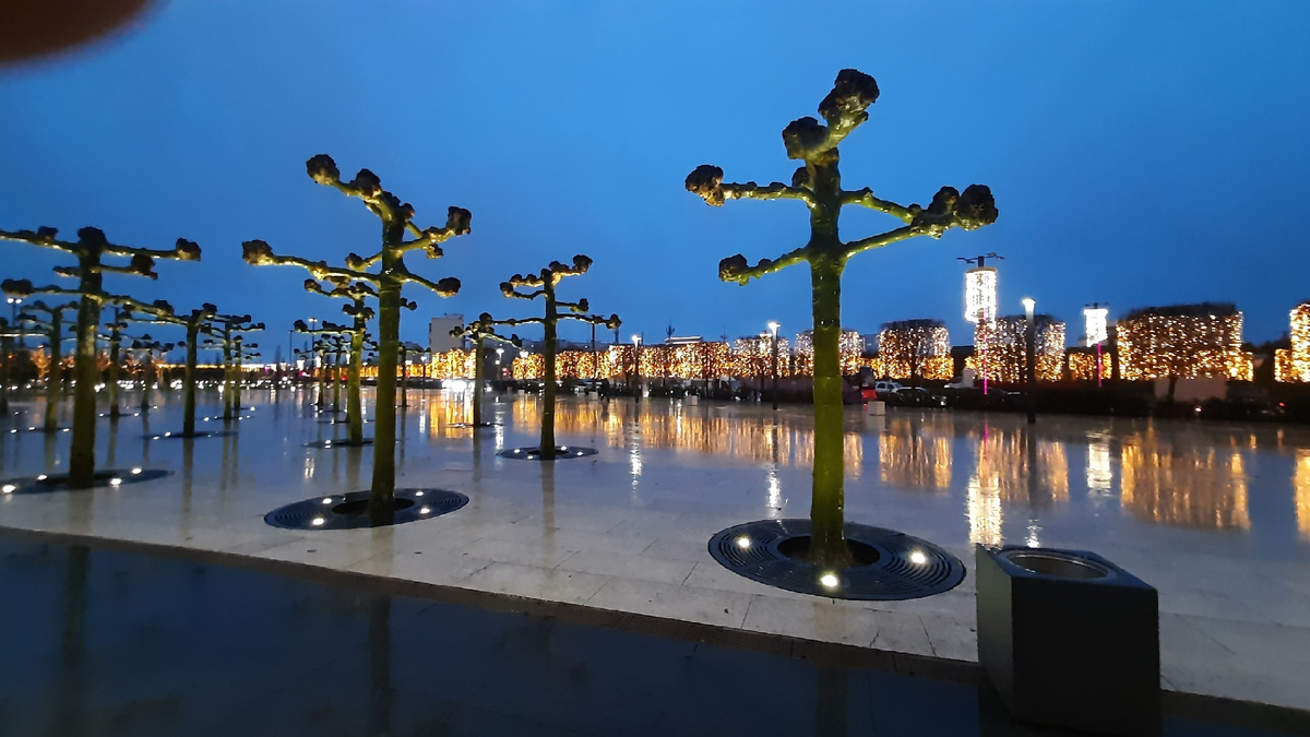 Дождь украсил парк двойным светом: реальным и отражающимся...