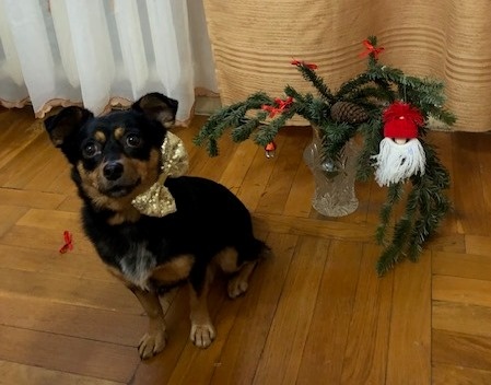 Тапуся примеряет аксессуары как истинная дама)