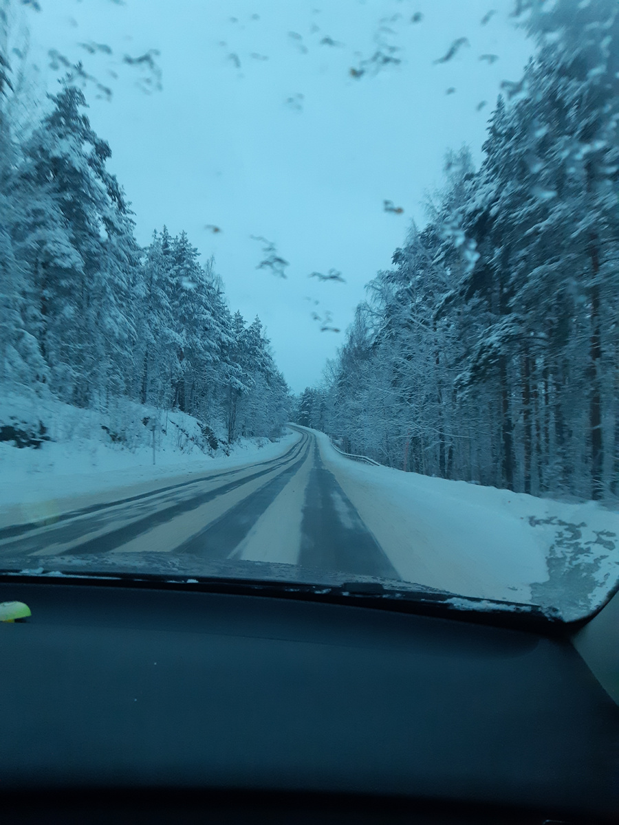 А дорога серою лентою вьётся, резкий поворот в два колеса,  радостно встречать тебя с палкою- дрыном  выйдут на дорогу медведь и лиса.