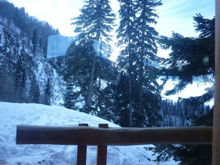   Елизавета Сапкова