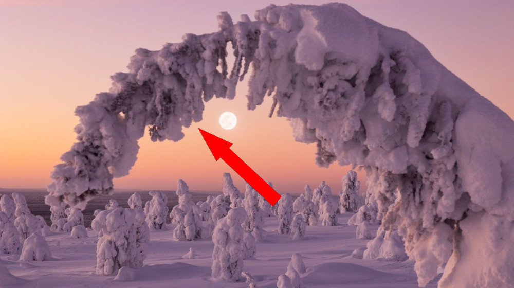    Когда наступит зима в 2025 году: научное объяснение и интересные факты