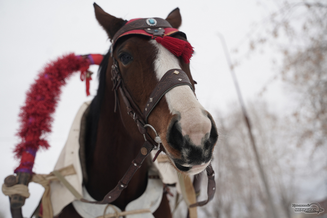    Фото: Лидия Аникина © ИА «Уральский меридиан»