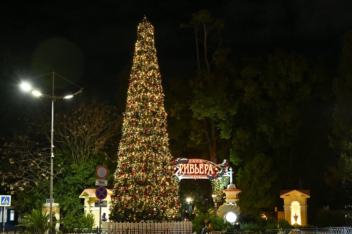    Фото: пресс-служба администрации города Сочи