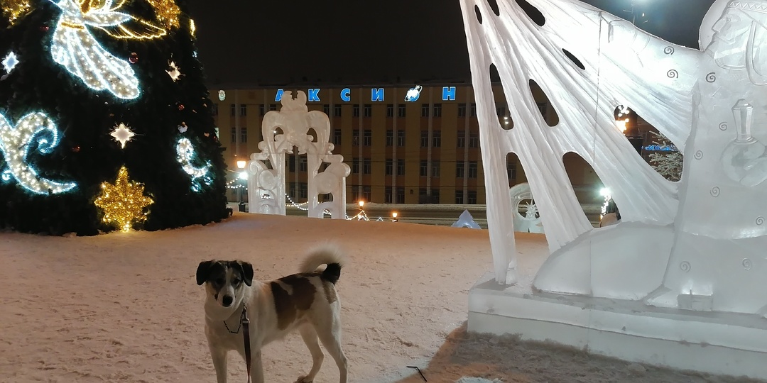 Вспоминаем новогодние рассказы