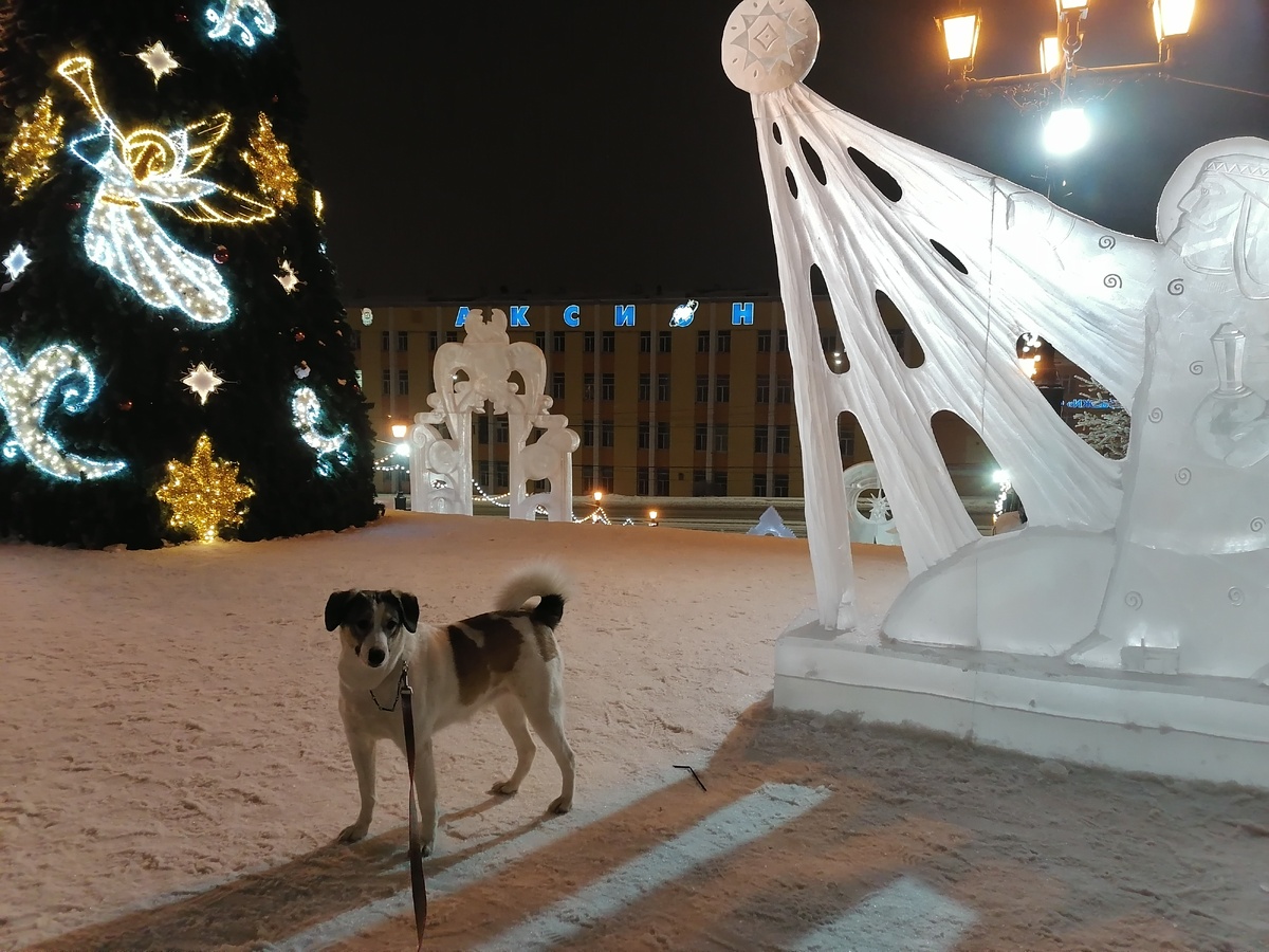 Фото автора