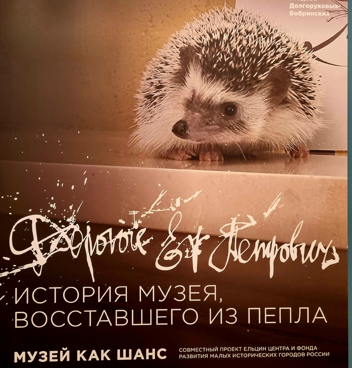 Фото автора статьи.