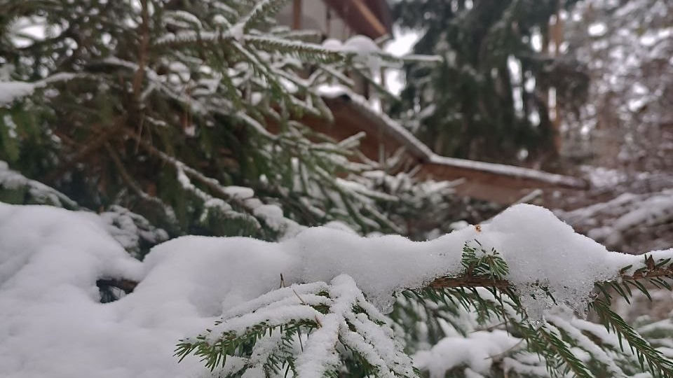 Новогодняя акция. Регрессия, гипнотерапия