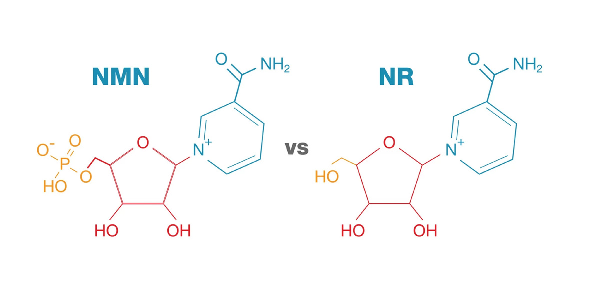 Изображение из открытых источников