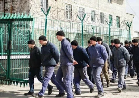    Окоп вместо наказания: ТЦК получили право мобилизовать осуждённых за тяжкие преступления