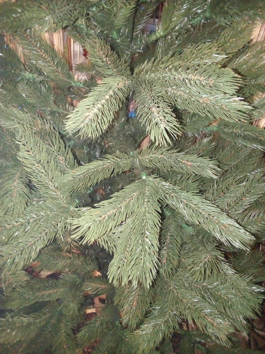Ёлка неживая