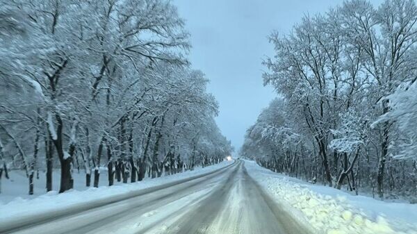    © РИА Новости Крым