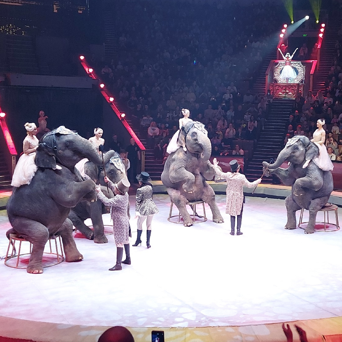 Шоу «И100рия » 2025 год Большой Московский цирк