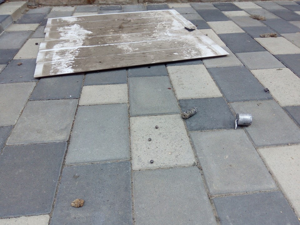    Фото Елены Федяшевой из архива «КП»