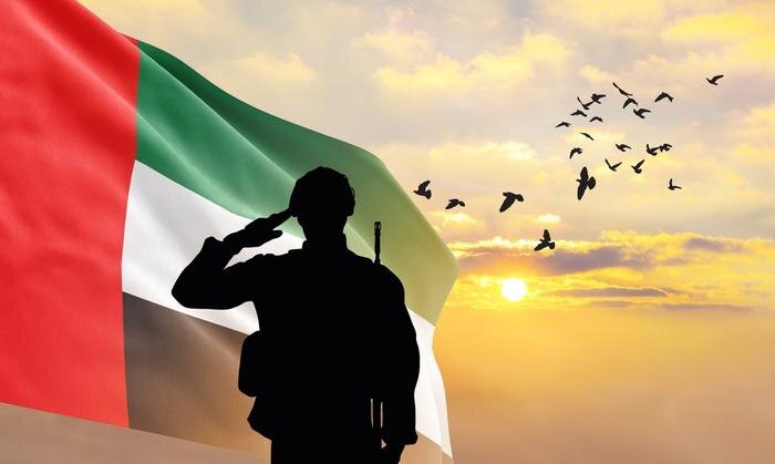 Обложка © Shutterstock / FOTODOM / Mini Onion