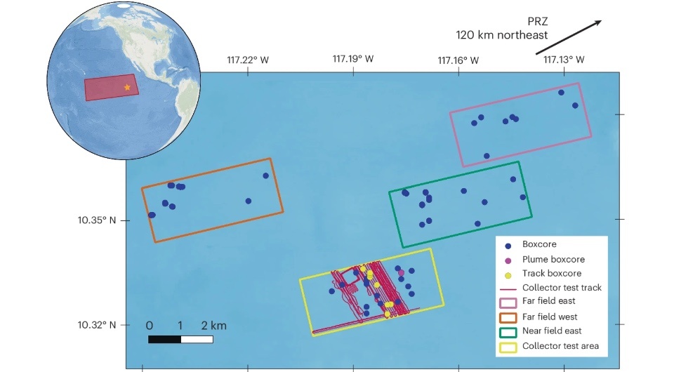   Eva Stewart et al. / Nature Ecology & Evolution, 2025