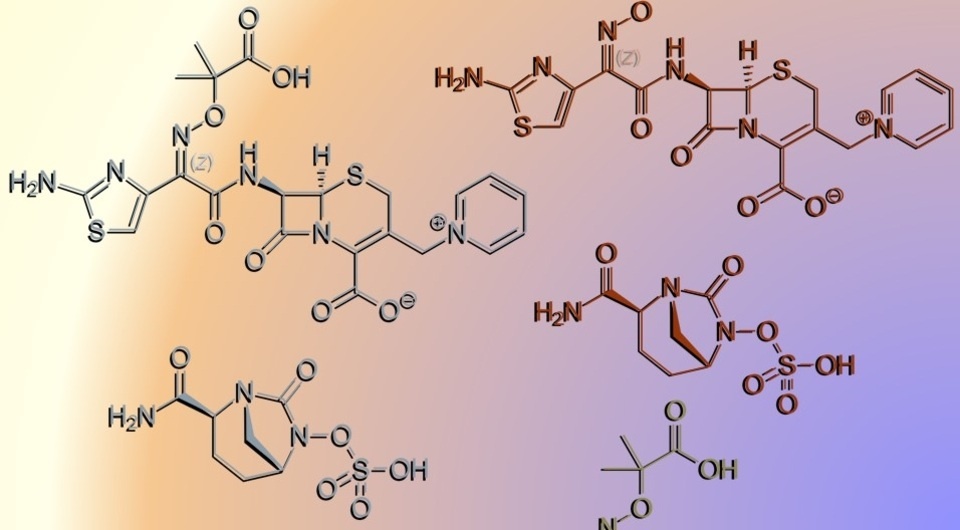   Vaccinationist / Wikimedia Commons / Public Domain