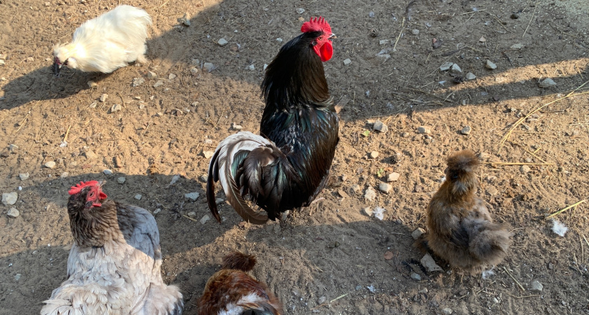    Фотоархив редакции