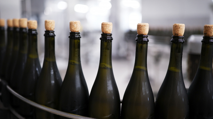 Фото: © РИА Новости/Виталий Тимкив