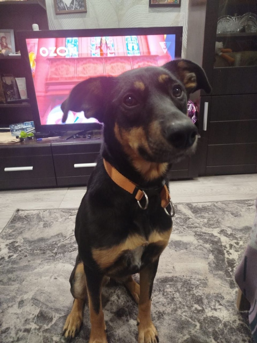 Бывшая "недотрога" Джуна