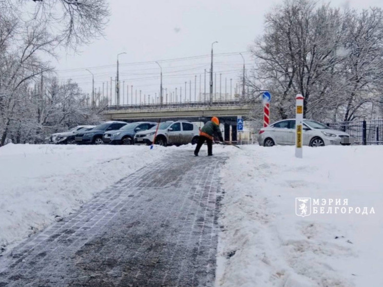     237 человек и 73 единицы техники убирают улицы Белгорода от снега, фото: t.me/beladm31 (архив)