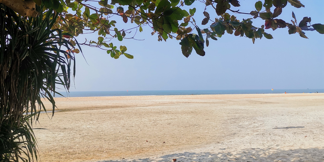 Новый Год без оливье..