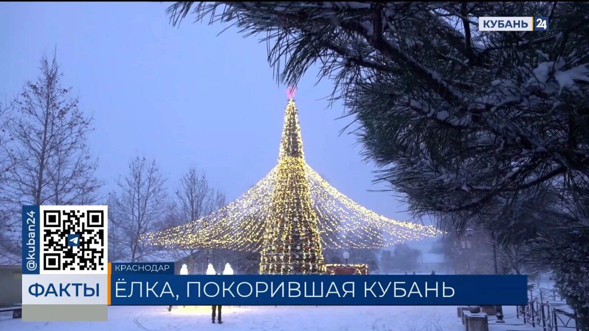    Скриншот видео телеканала «Кубань 24»