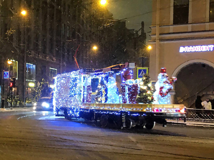     Фото: читатель «МК в Питере».