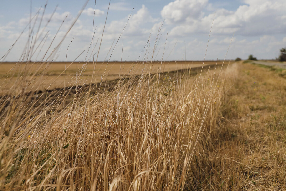    Фото: ТРК Таврия