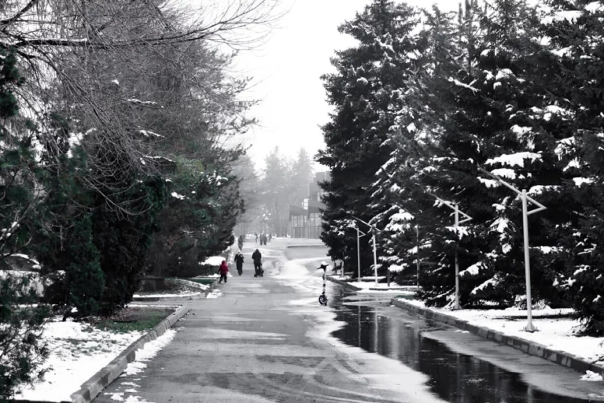     Артемий Заря / kzaif.kz