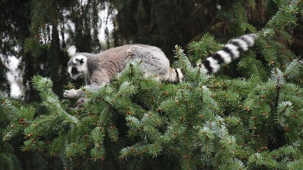    © РИА Новости . Екатерина Чеснокова