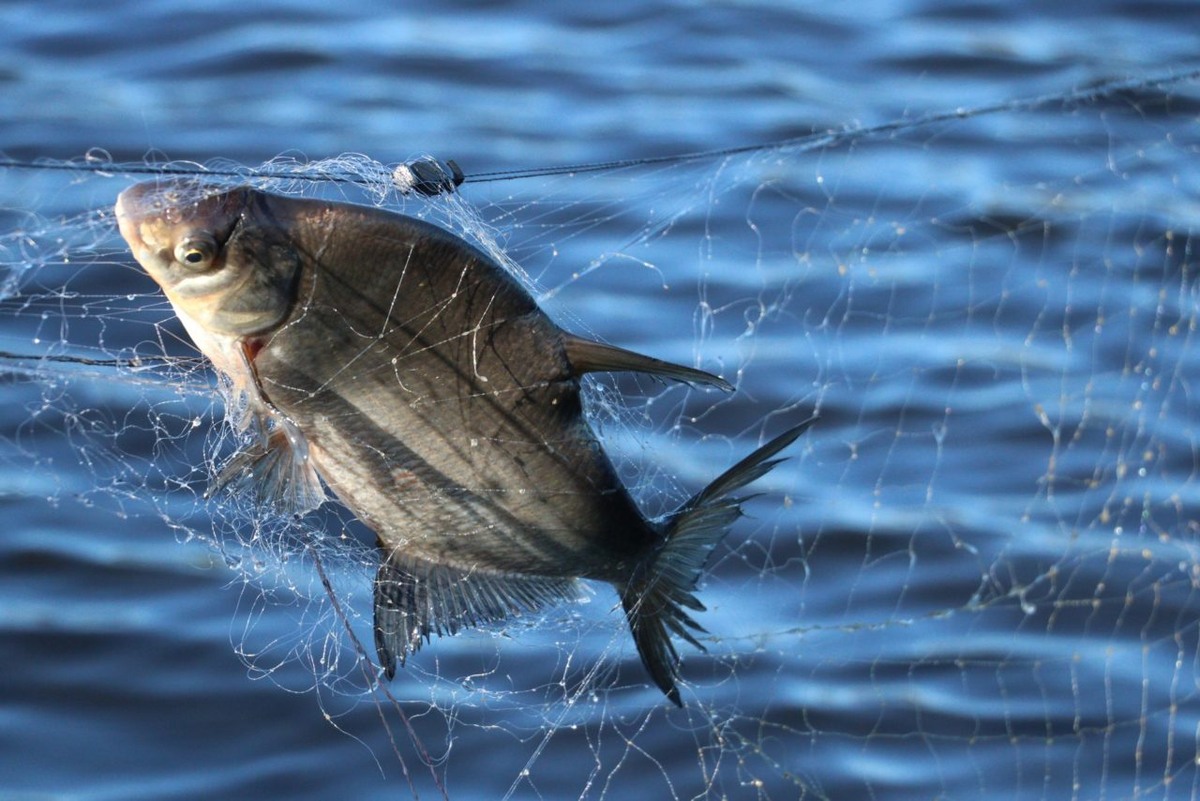    Фото: "Республика"/Даниил Рыжихин