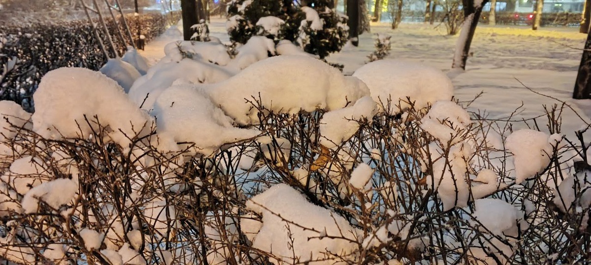 В этом году настоящая русская зима