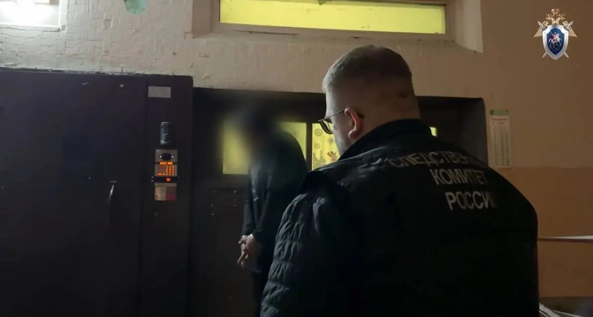    Фото: скриншот видео ГСУ СК РФ по Петербургу