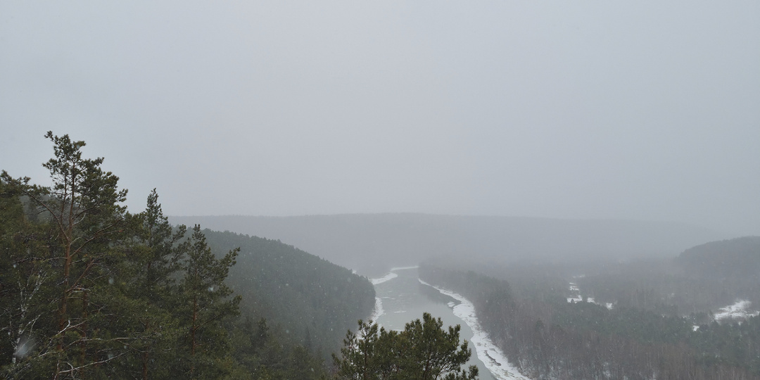 С наступающим Новым годом!!
