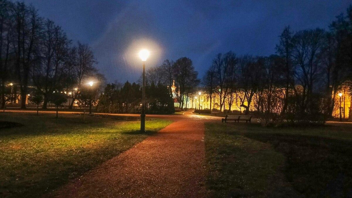    Фото: t.me/smolnypress