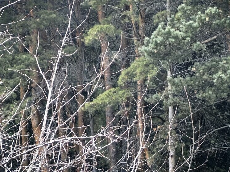     Фото: архив «МК в Калининграде».