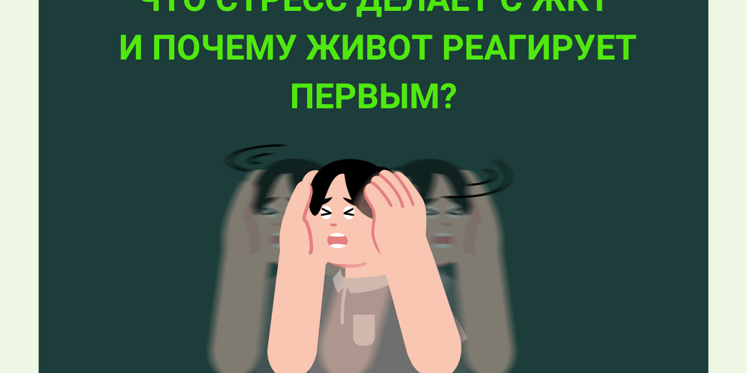 Что стресс делает с ЖКТ и почему живот реагирует первым?