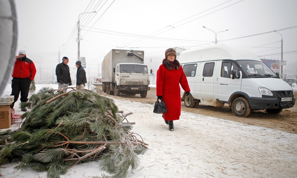    330 нелегальных елок изъяли после полицейских рейдов в Нижнем Новгороде. Дмитрий Ахмадуллин