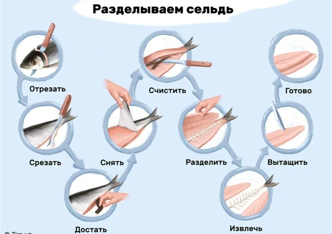 Из открытых источников 