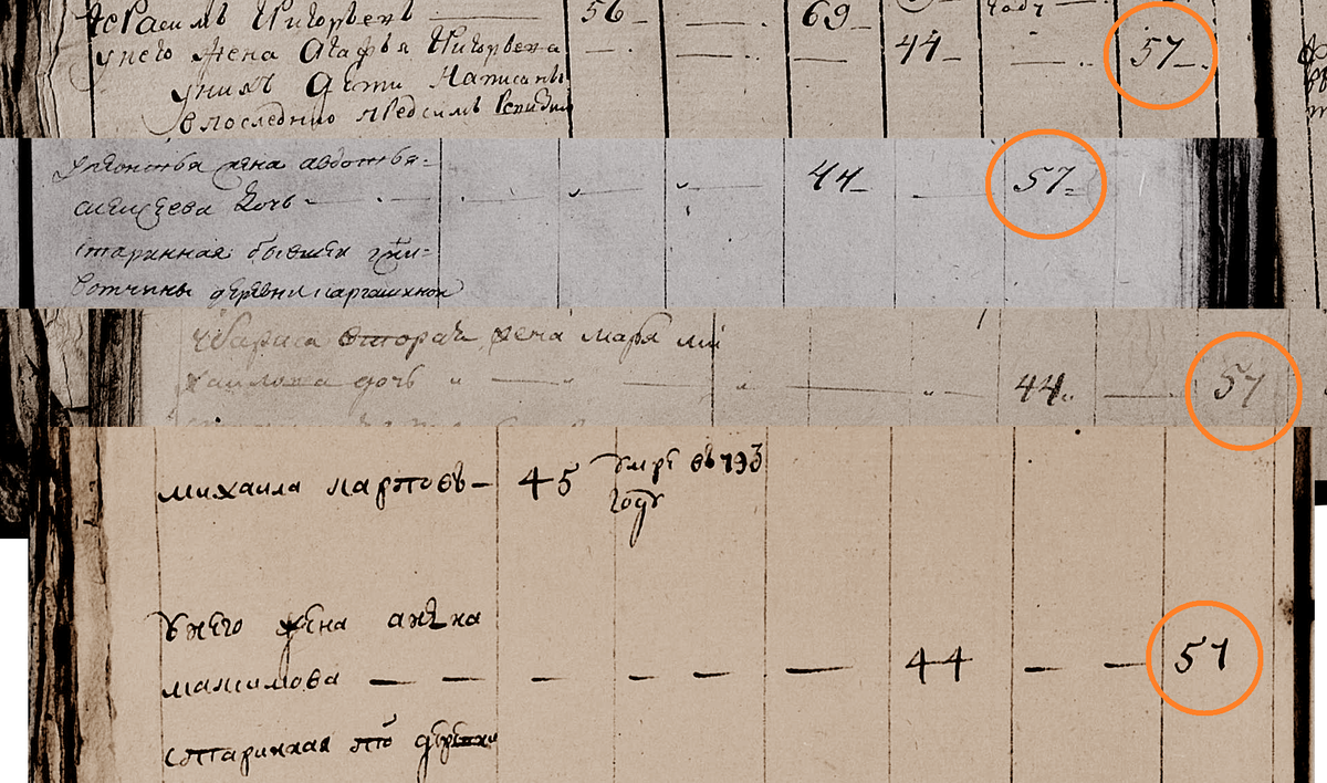 Алексинский уезд. Ревизские сказки (перепись) 1795 года.