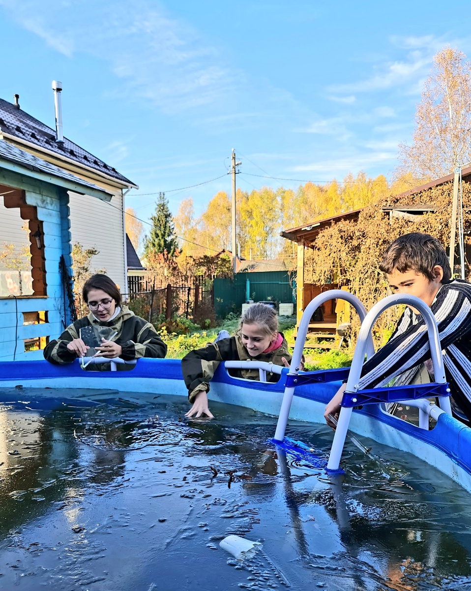 Да нормальная водичка