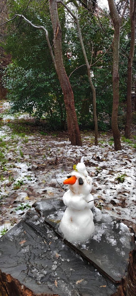 Кто-то даже еспел слепить снеговика, правда очень маленького, но это же ЮГ!