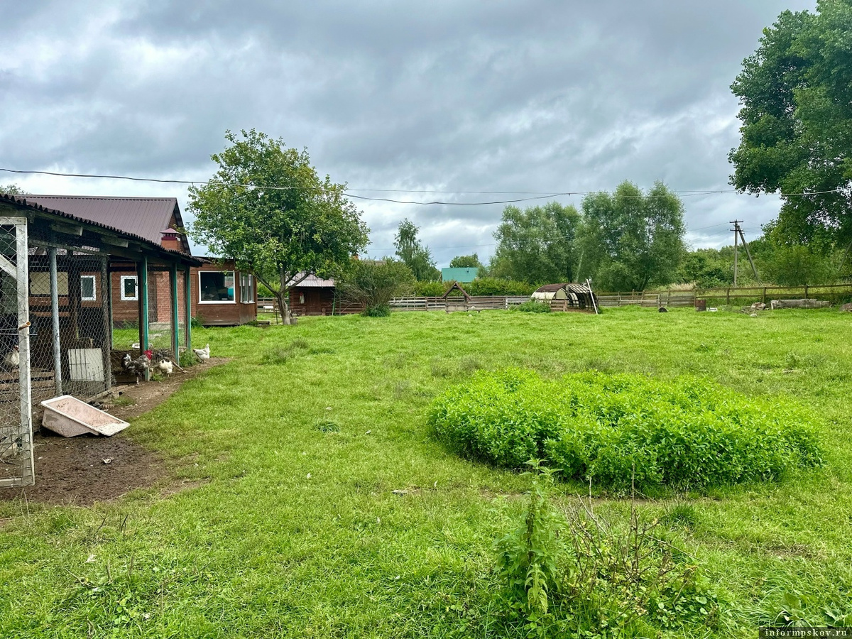 Фото здесь и далее: газета «Наш путь»