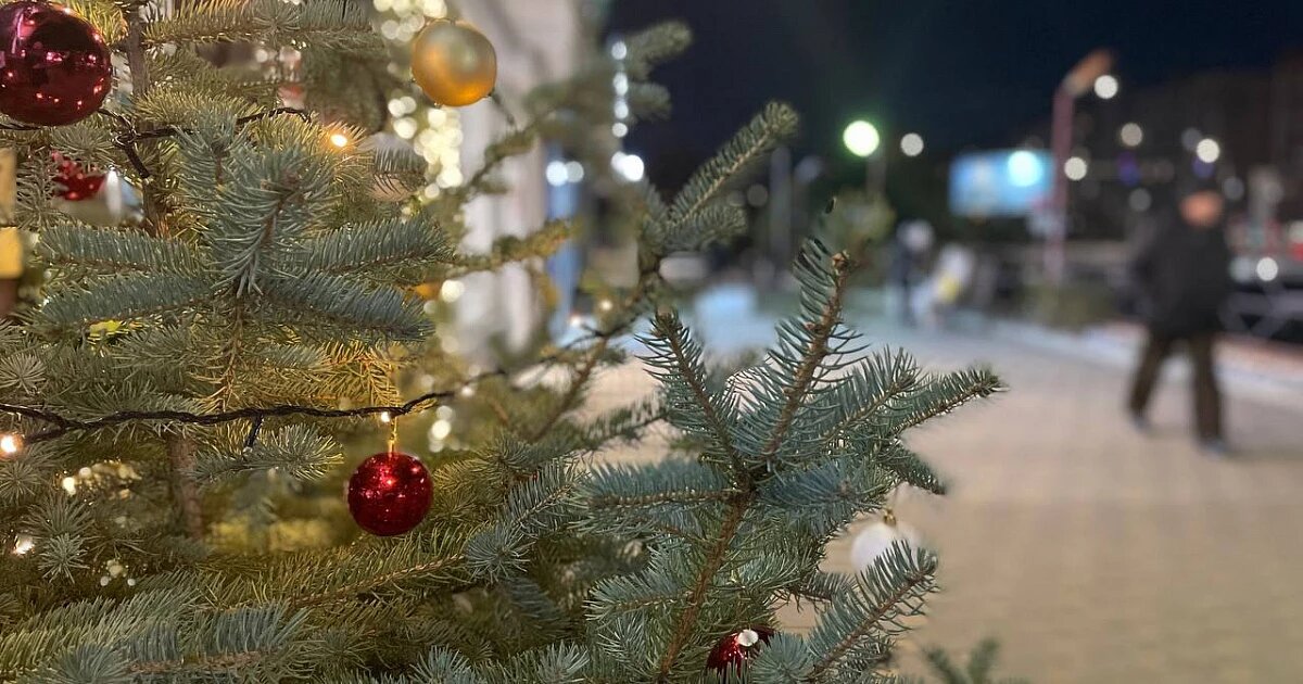 Фото: издание «Утренний Юг»