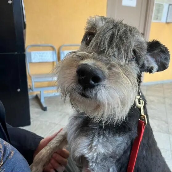 -Доктор, я не хотел! Но они все спали, а мне скучно!