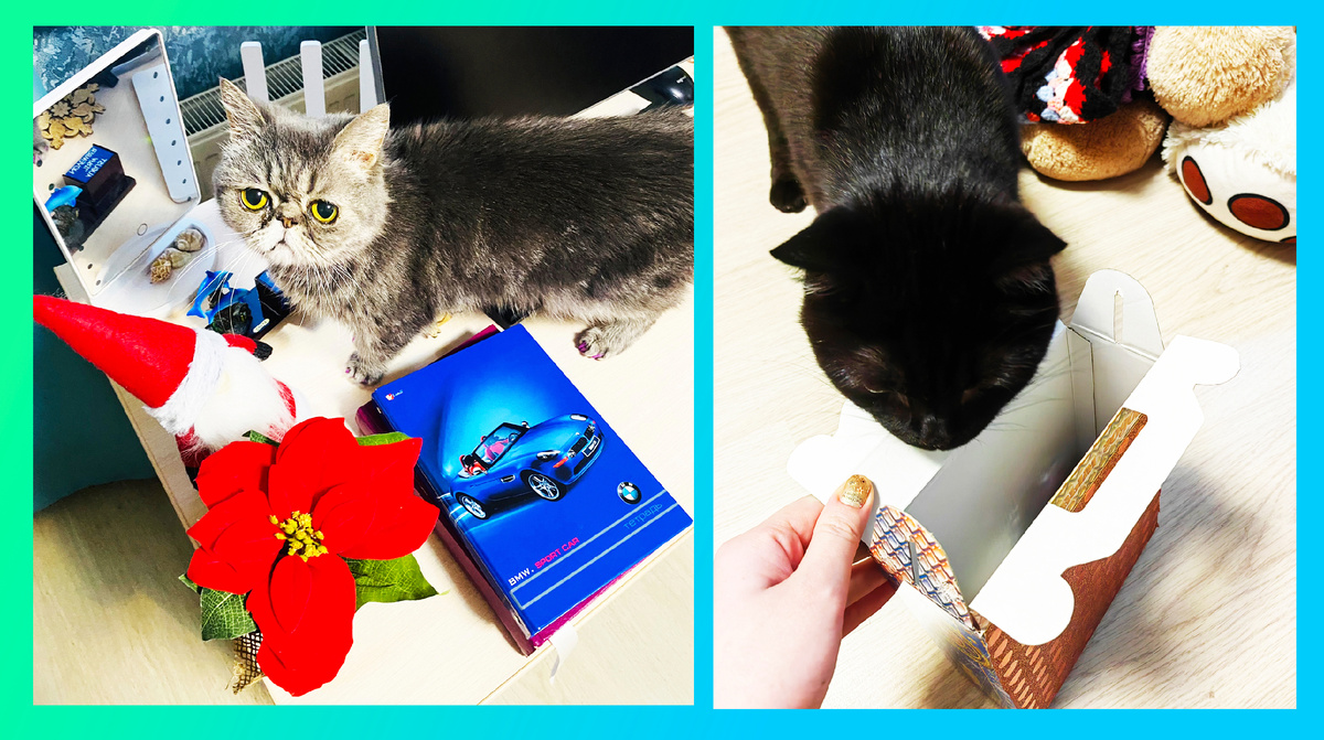 Фото из личного архива