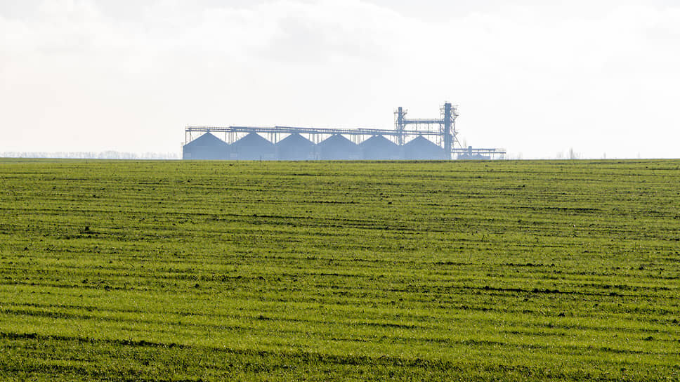 Фото: Егор Снетков / Коммерсантъ