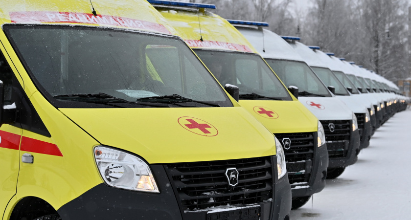    Фото пресс-службы главы Коми