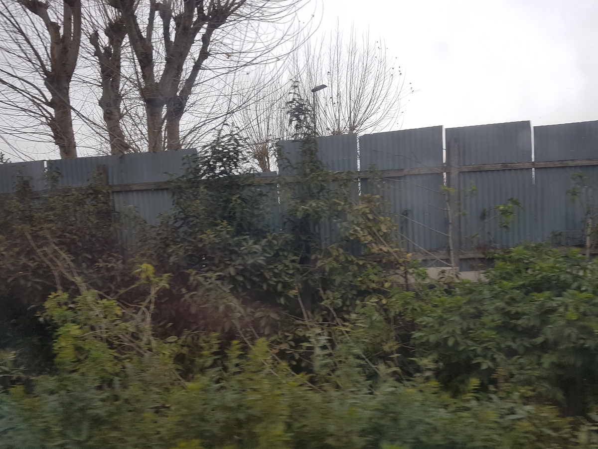 Вот такие пейзажи мелькали за окном, когда мы въехали в Кампанию. Фото из архива автора, январь 2019 год