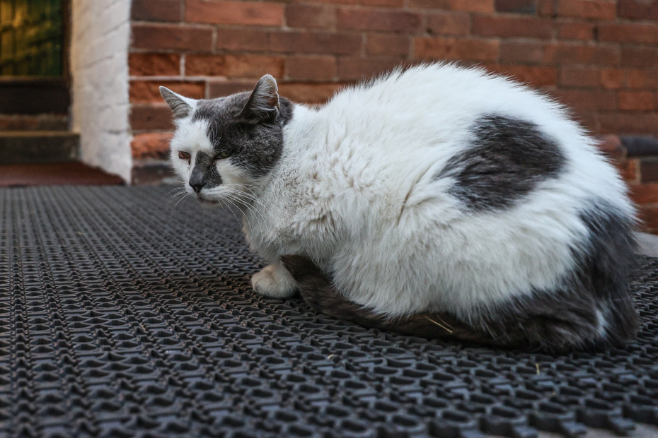    Сергей Булкин/NEWS.ru